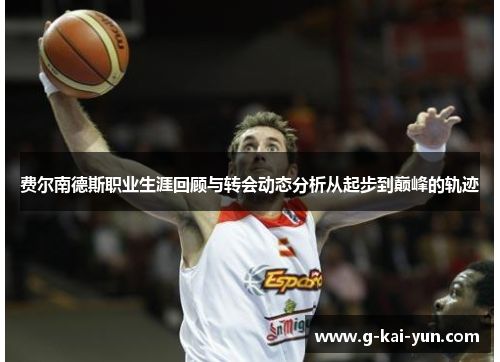 费尔南德斯职业生涯回顾与转会动态分析从起步到巅峰的轨迹