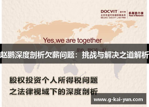 赵鹏深度剖析欠薪问题：挑战与解决之道解析